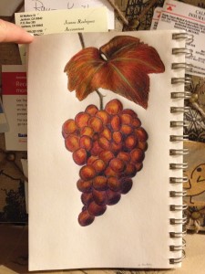 Grapes